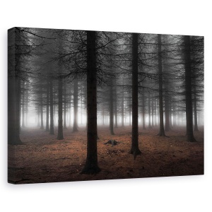 Tablou canvas - Tacere, Peisaj, Padure, Copac, Ceata, 60 x 90 cm