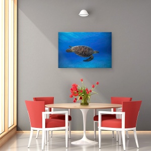 Tablou canvas - Testoasa Verde In Albastru, Chelonia, Myda, Sub Apa, 60 x 90 cm - Img 4