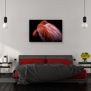 Tablou canvas - Timiditate, Animal, Flamingo, Roz, Pasare, 40 x 60 cm - Img 3