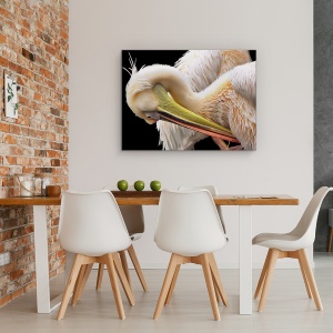 Tablou canvas - Toaleta, Pelican, Pasare, Natura, Animal, Cioc, 60 x 80 cm - Img 4