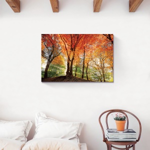 Tablou Canvas - Toamna in padure, 80 x 120 cm - Img 2