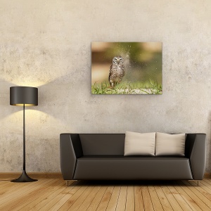 Tablou canvas - Ultima Lumina Din Cuib, Bufnita, Dragut, Salbatic, 50 x 70 cm - Img 2