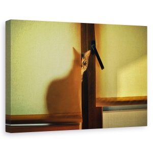 Tablou canvas - Un Pic De Maya, Pisica, Fereastra, Pet, Umbra, Ascunde, 40 x 60 cm