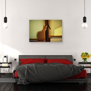 Tablou canvas - Un Pic De Maya, Pisica, Fereastra, Pet, Umbra, Ascunde, 60 x 90 cm - Img 3