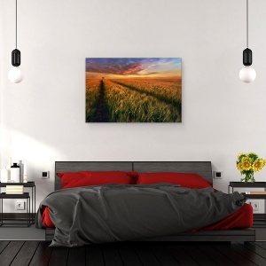 Tablou canvas - Undeva La Apus, Peisaj, Camp, Copac, Polonia, 40 x 60 cm - Img 3