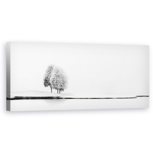 Tablou canvas - Unit, Lac, Copaci, Minimalistic, Panorama, Peisaj, 30 x 90 cm