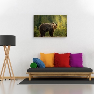 Tablou canvas - Urs, Urs, Fauna, Salbatic, Padure, Urs, Slovacia, 60 x 90 cm - Img 2