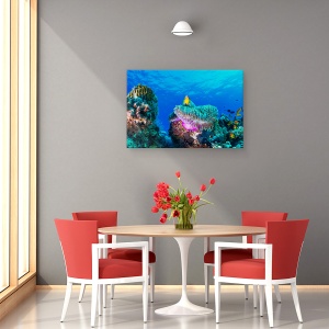 Tablou canvas - Viata Maritima, Sub Apa, Pestele Clovn, Anemone, Recif, 80 x 120 cm - Img 4