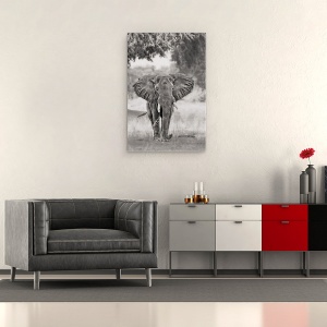 Tablou canvas - Vin, Elefant, Elefanti, Alb-Negru, Africa, Salbatic, 40 x 60 cm - Img 2