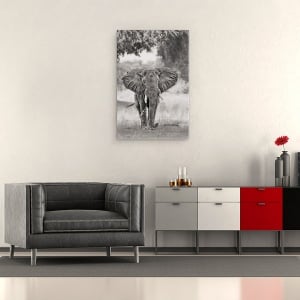 Tablou canvas - Vin, Elefant, Elefanti, Alb-Negru, Africa, Salbatic, 60 x 90 cm - Img 4