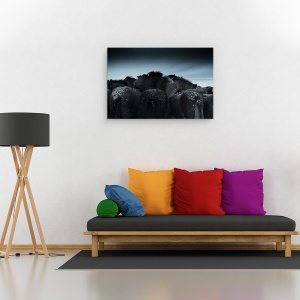 Tablou canvas - Vremea Rece, Cal, Cai, Animal, Abstract, Turma, 80 x 120 cm - Img 2
