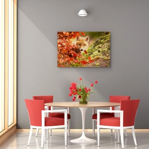 Tablou canvas - Vulpe, Nature, Toamna, Blana, Frunze, 80 x 120 cm - Img 4
