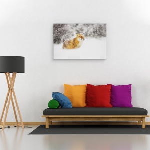 Tablou canvas - Vulpea Rosie Intr-O Furtuna De Zapada, Iarna, 60 x 90 cm - Img 2