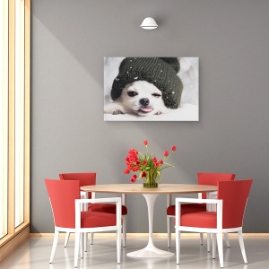 Tablou canvas - Yah-Boo, Caine, Chihuahua, Pet, Animal, Limba, 80 x 120 cm - Img 4