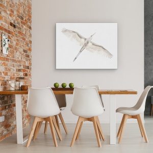 Tablou canvas - Zbor, Aviara, Pasari, Egreta, Pasare, Alb, 50 x 70 cm - Img 4