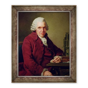 Tablou inramat - Alexander Roslin - Portrait of Louis Jean Marie Daubenton 1716-1800 1791, 50 x 60 cm