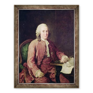 Tablou inramat - Alexander Roslin - Portretul lui Carl von Linnaeus 1707-78, 70 x 90 cm