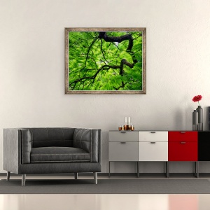Tablou inramat - Ant Smith - Ramura de copac in baldachin, 50 x 60 cm - Img 2
