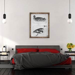 Tablou inramat - Antonio Pisanello - Ducks, de pe albumul Vallardi stilou, 60 x 80 cm - Img 2