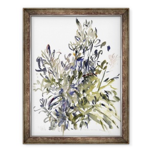 Tablou inramat - Claudia Hutchins-Puechavy - Senecio si alte plante, 60 x 80 cm