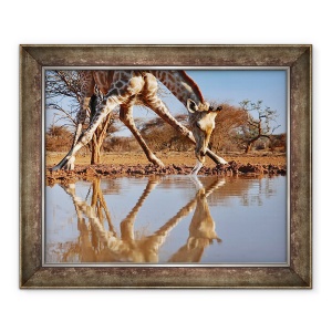 Tablou inramat - Eric Meyer - Narcis girafa de baut, 50 x 60 cm