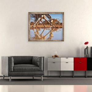 Tablou inramat - Eric Meyer - Narcis girafa de baut, 50 x 60 cm - Img 2