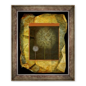 Tablou inramat - Giulio Cerocchi - Rusticus I, 50 x 60 cm