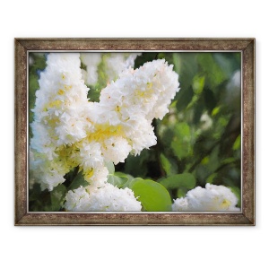 Tablou inramat - Helen White - Liliac alb pur, 2018, 60 x 80 cm