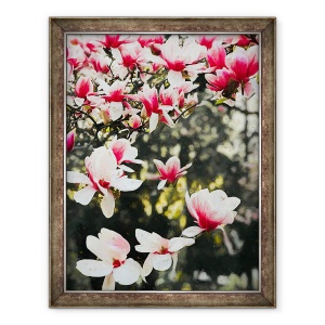 Tablou inramat - Helen White - Magnolia inflorita, 2018, 70 x 90 cm