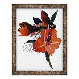 Tablou inramat - Hiroyuki Izutsu - O floare imaginara bazata pe un amaryllis., 60 x 80 cm