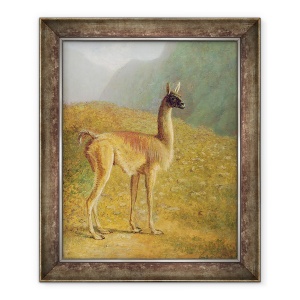 Tablou inramat - Jacques-Laurent Agasse - Guanaco, 50 x 60 cm