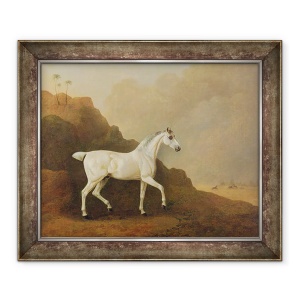 Tablou inramat - John Boultbee - Un armasar arab gri intr-un peisaj desert, 50 x 60 cm
