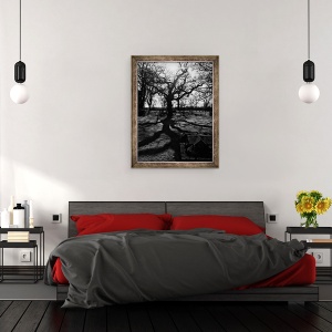 Tablou inramat - Mary Campbell - Curtea Bisericii, 70 x 90 cm - Img 3