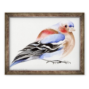 Tablou inramat - Nancy Moniz Charalambous - Chaffinch colorat, 2011, 70 x 90 cm