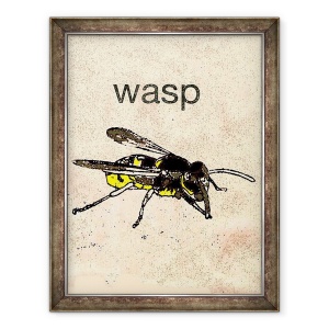 Tablou inramat - Sarah Thompson-Engels - Wasp 2014, 60 x 80 cm