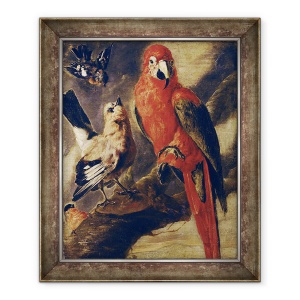Tablou inramat - Scoala Flamanda - Macaw si Bullfinch, 70 x 85 cm