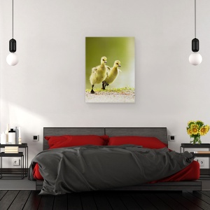 Tablou canvas - 1, 2, 3, Start, Canada, Gasca, Ratuste, Gaste, 60 x 80 cm - Img 3