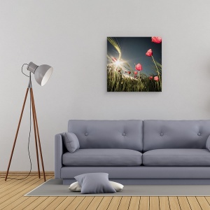 Tablou canvas - A Venit Vara, Floare, Maci, Rosu, Lunca, Soare, 90 x 90 cm - Img 2