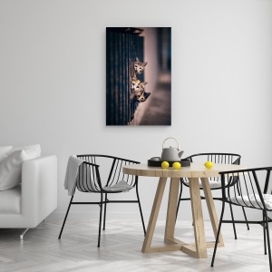 Tablou canvas - A Zis Cineva Miau?, Pisica, Strada, Trotuar, Animale, Noapte, 60 x 90 cm - Img 4