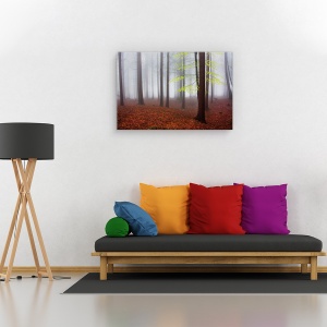Tablou canvas - Abia trezit, Peisaj, Padure, Albastru , Ceata, 40 x 60 cm - Img 2