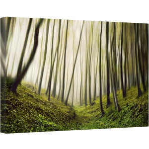 Tablou canvas - Alergare, Padure, Pomi, Verde, Ceata, Ireal, 40 x 60 cm