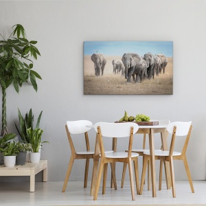Tablou canvas - Amintind De Titani, Elefanti, Elefant, Familie, Turma, Pasari, 50 x 80 cm - Img 4