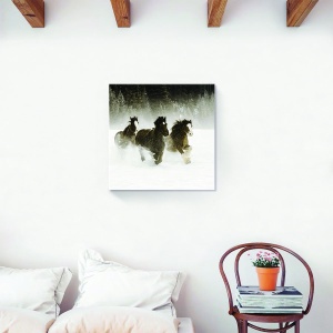 Tablou canvas cai iarnă 60x60 cm