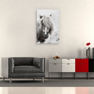 Tablou canvas - Animale, Cal, Natura, Alb-Negru, 40 x 60 cm - Img 2