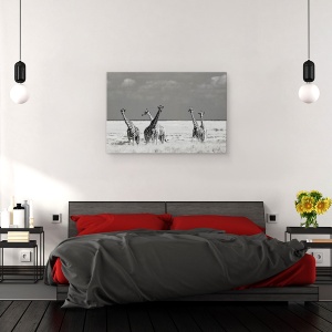 Tablou canvas - Animale Ciudate, Natura, Animal, Salbatic, Girafa, 40 x 60 cm - Img 3