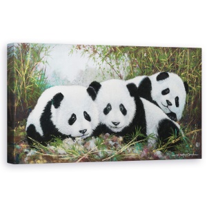 Tablou canvas - Animale, Ursi Panda, Natura, Pictura, 50 x 100 cm