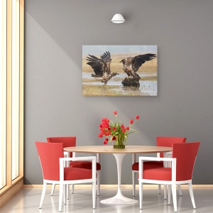 Tablou canvas - Aripi Deschise, Natura, Pasare, Vultur, Salbatic, Salbatic, 60 x 90 cm - Img 4