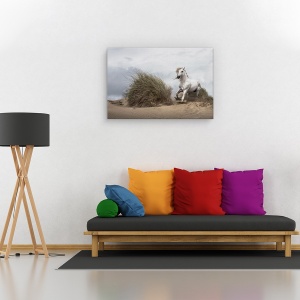 Tablou canvas - Armasar alb pe plaja, Animal, Cai, Actiune , Coasta, 60 x 90 cm - Img 2