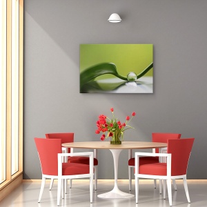 Tablou canvas natură moartă verde