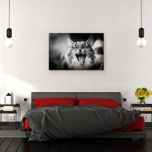 Tablou canvas - Asculta Miorlaitul Meu, Pisica, Vuiet, Colti, Cascat, 80 x 120 cm - Img 3